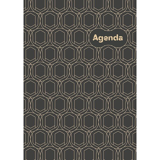 Dayliner agenda Colors A5 heti Art Modern 2026