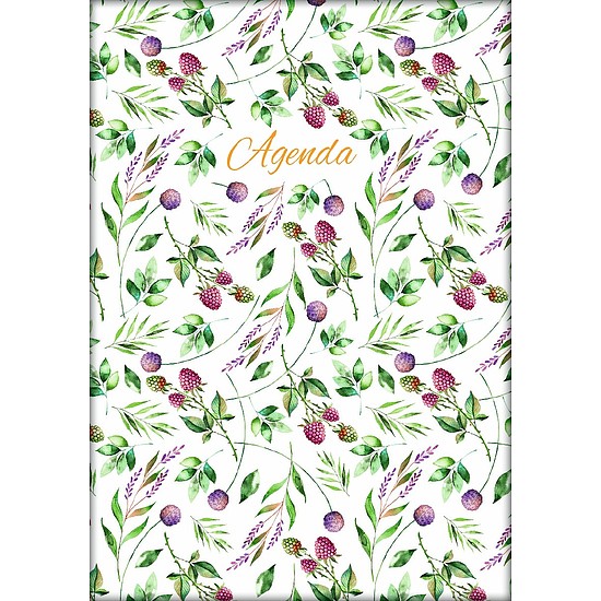 Dayliner agenda Colors A5 heti Berries 2026