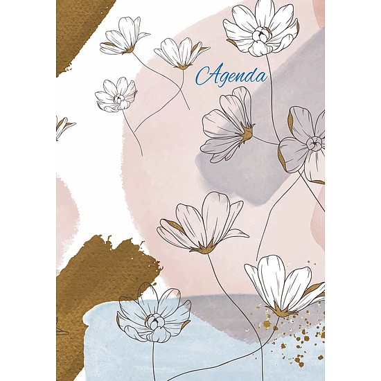 Dayliner agenda Colors A5 heti Pastel 2026