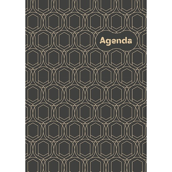 Dayliner agenda Colors A5 napi Art Modern 2026