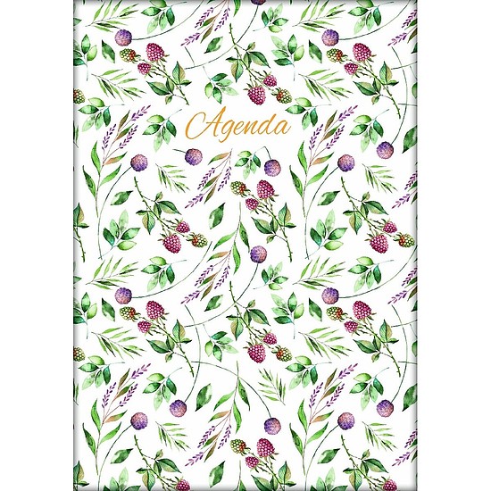 Dayliner agenda Colors A5 napi Berries 2026