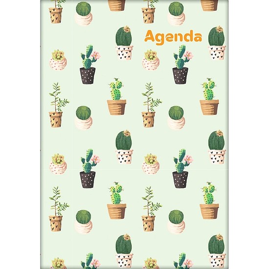 Dayliner agenda Colors A5 napi Cactus 2026