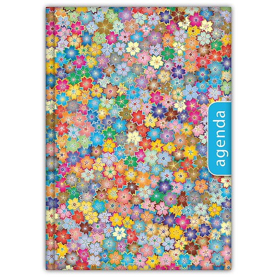 Dayliner agenda Colors A5 napi Spring Kék 2026
