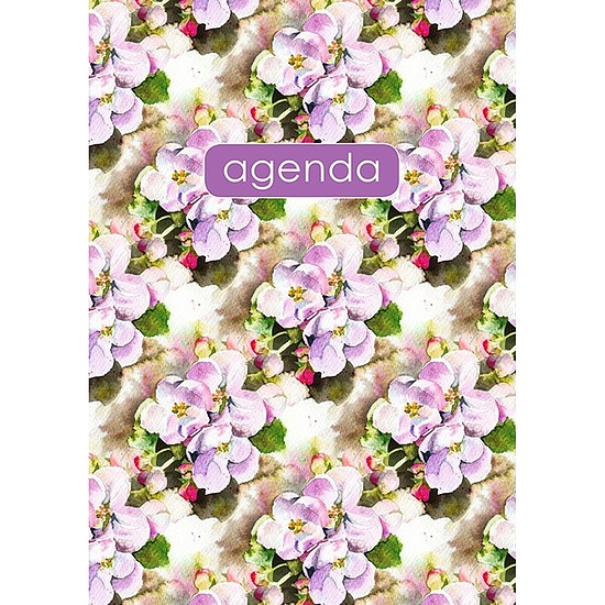 Dayliner agenda Colors A5 napi Spring Lila 2026