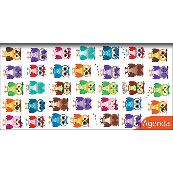 Dayliner agenda Colors fekvő zsebnaptár Happynest Narancs 2026