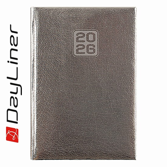 Dayliner agenda Mirror B6 heti ezüst 2026
