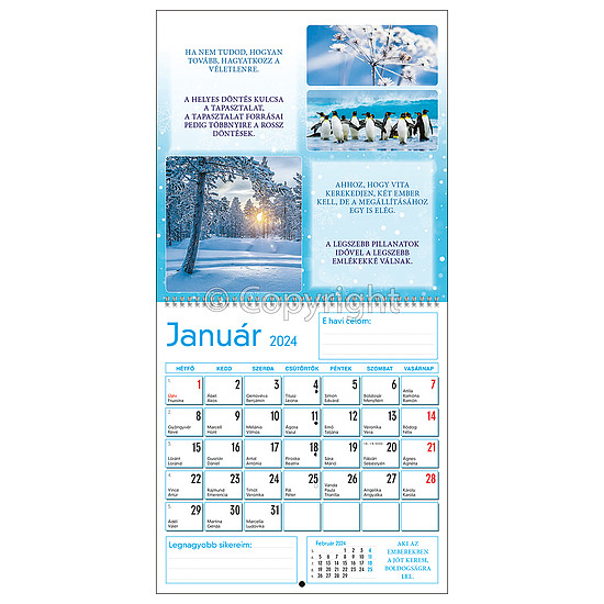 Dayliner falinaptár 300x600mm Motivációs naptár 2024