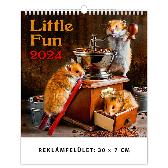 Dayliner falinaptár 300x600mmLittle Fun LP 2024