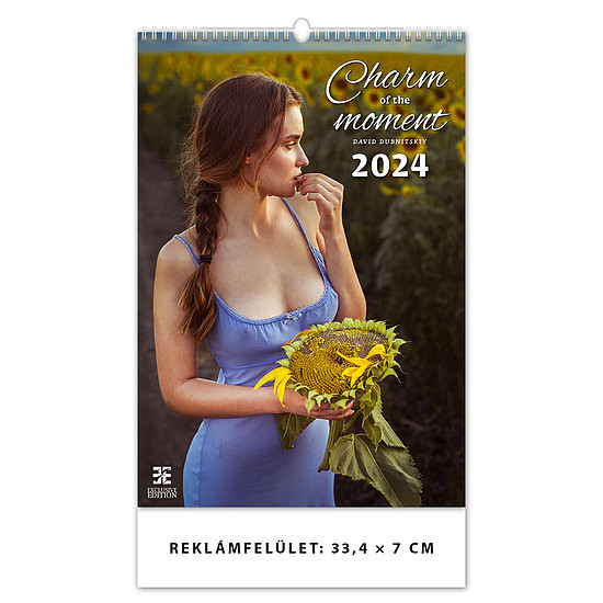 Dayliner falinaptár Charm of the Moments 340x485 mm, 2024