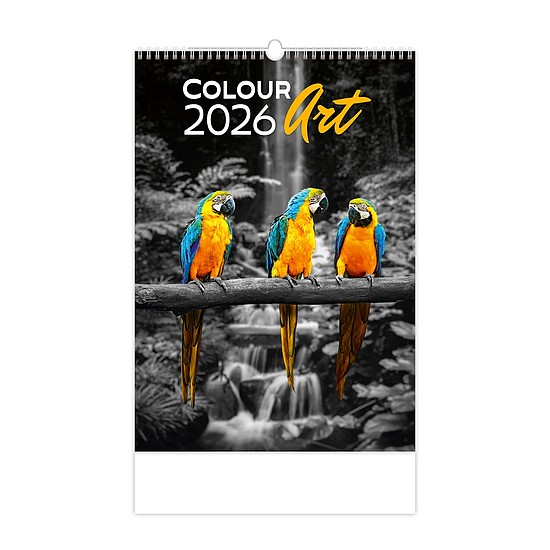 Dayliner falinaptár Colour Art 2026