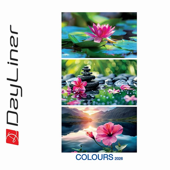 Dayliner falinaptár Colours 2026