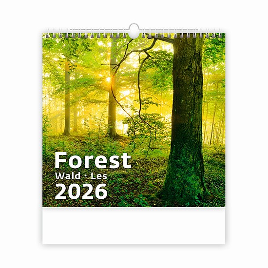 Dayliner falinaptár Forest 2026