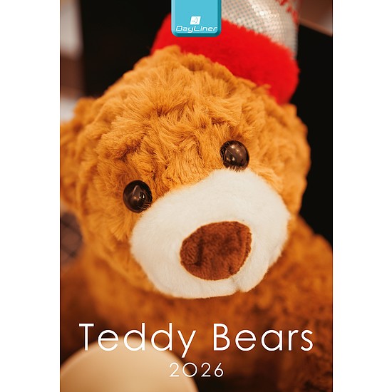 Dayliner falinaptár Teddy B4 2026