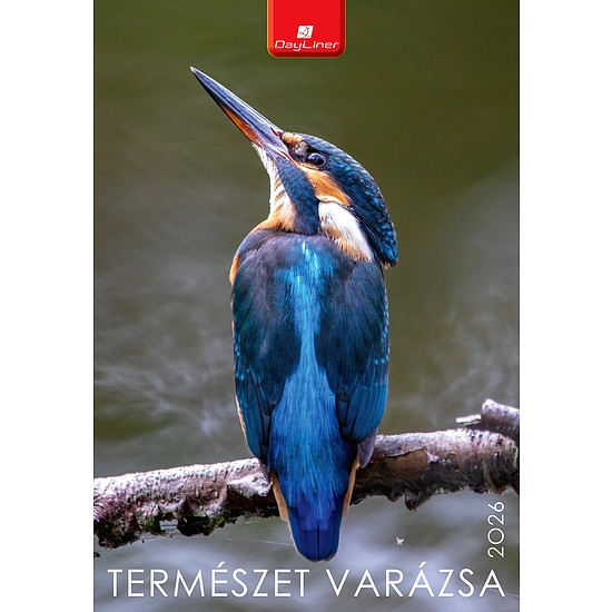 Dayliner falinaptár Természet varázsa B4 2026