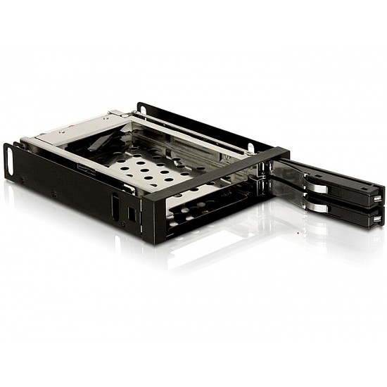 Delock 3.5 Mobil Rack 2x 2.5 SATA HDD-hez (47189)