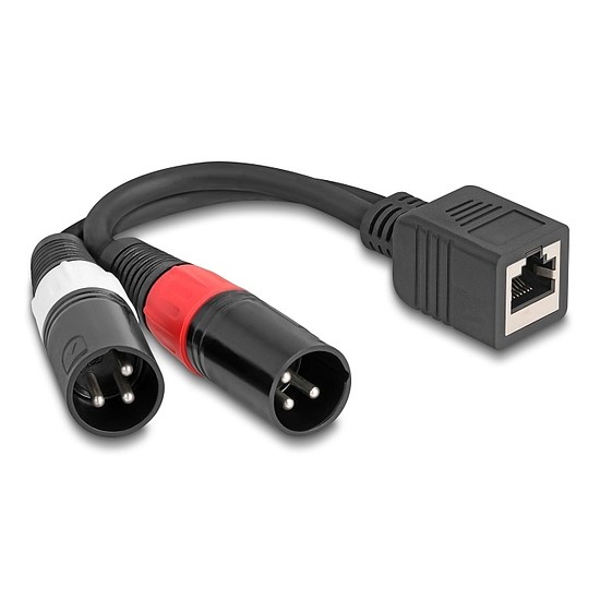 Delock Adapter RJ45 kábel anya - 2 x XLR 3 tűs apa, fekete színű 20 cm