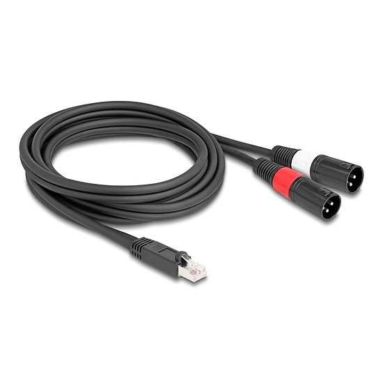 Delock Adapter RJ45 kábel apa - 2 XLR 3 tűs apa fekete színű 2 m