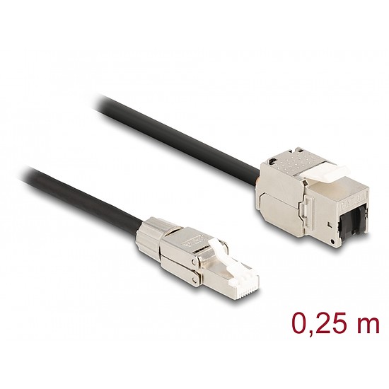 Delock Kábel RJ45 dugasz terepen szerelhető Keystone Module RJ45 aljzathoz Cat.6A 25 cm (87203)