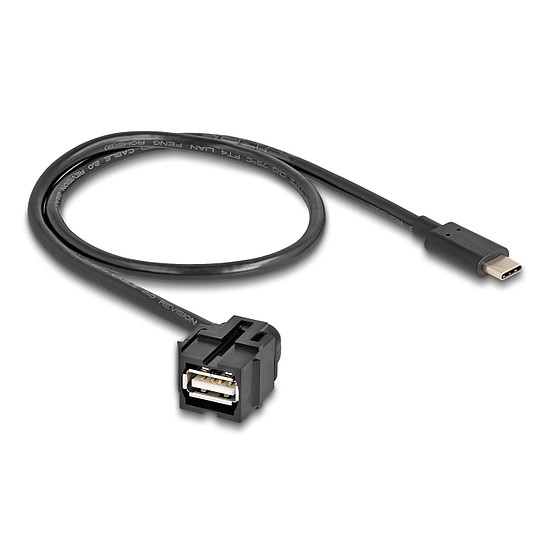 Delock Keystone modul, USB 2.0 A-anya > USB Type-C apa 250 , kábellel 0,5 m