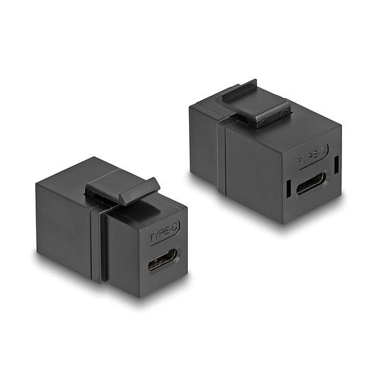 Delock Keystone modul USB 2.0 Type-C anya anya fekete színű