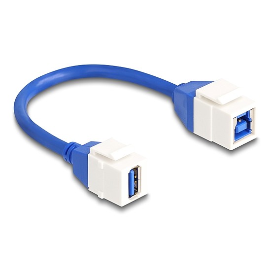 Delock Keystone modul USB kábel 5 Gbps A-típusú USB anya B-típusú USB anya 20 cm, kék