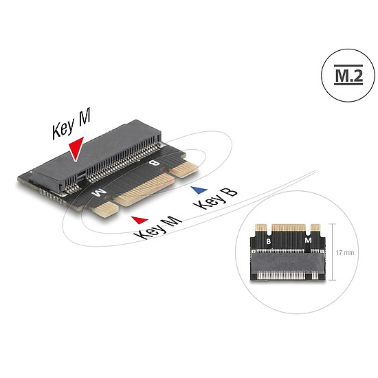 Delock M.2 kulcs B+M apa - M.2 kulcs M csatlakozó bővítmény adapter