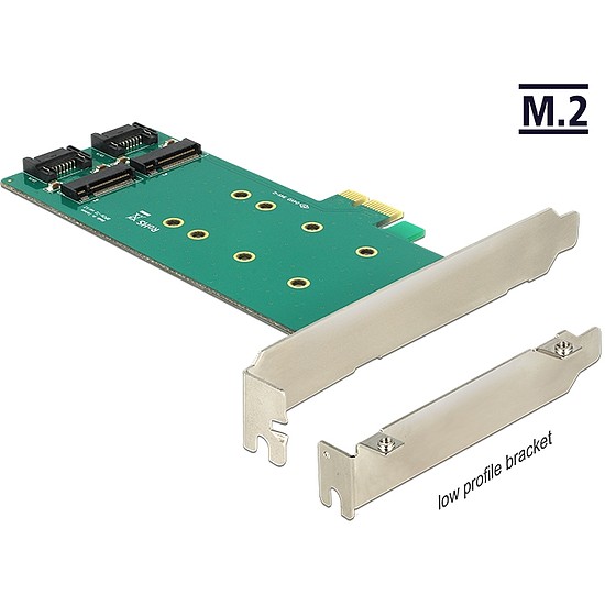 Delock PCI Express Card > 2 x internal M.2 Key B 110 mm - Low Profile Form Factor (89473)