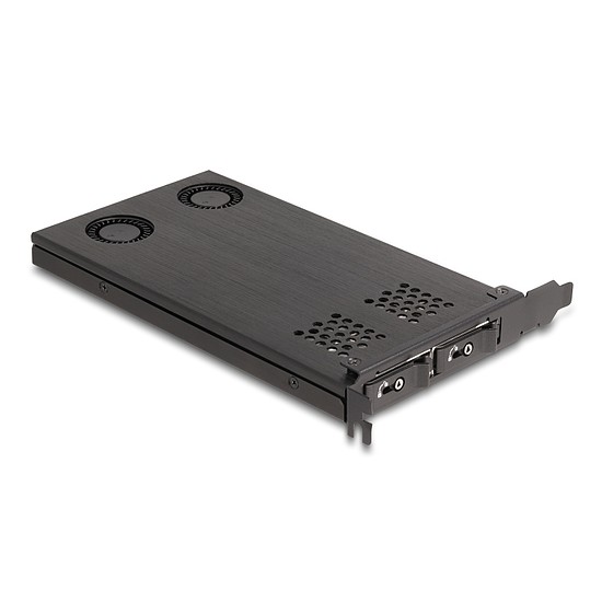 Delock PCI expressz x16 kártya mobil-rack 2 x M.2 NVMe SSD-hez - elágazás