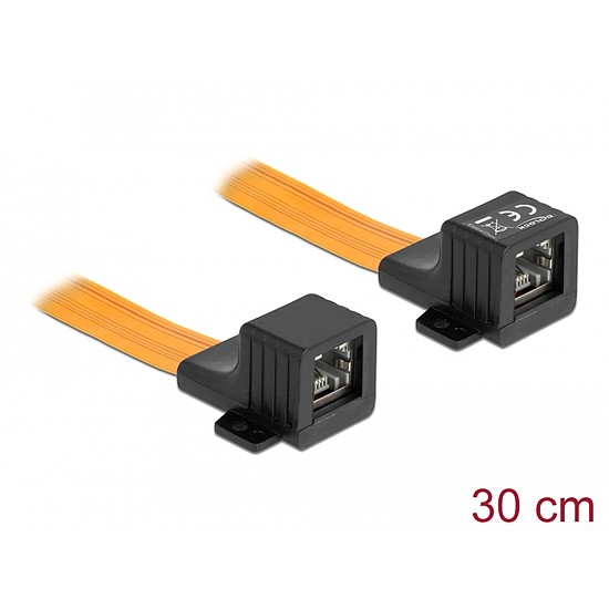 Delock RJ45 FPC (Flexibilis Nyomtatott Áramkör) ablakon átbújtató, 30 cm (87031)