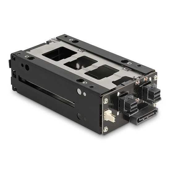 Delock Slim Mobil Rack 2 x 2.5 U.2 NVMe SSD
