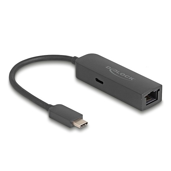 Delock Szürke USB Type-C adapter tápellátó portos 2,5 Gigabit LAN-hez 100 watt