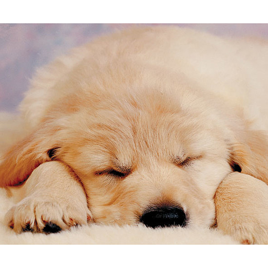 Egéralátét mintás PVC