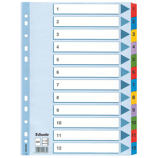 Esselte Mylar laminált karton regiszter A4 12 részes 1-12-ig 100162