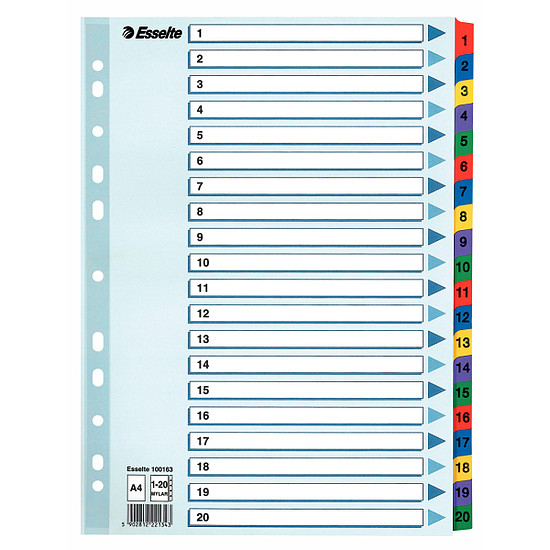 Esselte Mylar laminált karton regiszter A4 20 részes 1-20-ig 100163