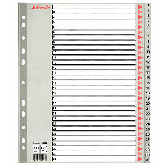 Esselte regiszter A4 műanyag 31 részes Maxi 1-31-ig 100127