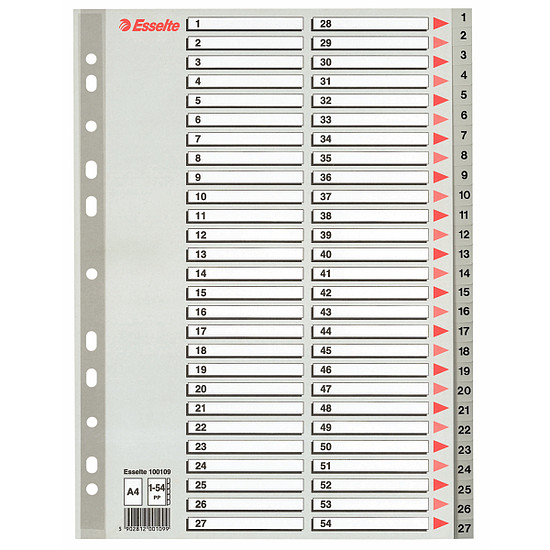 Esselte regiszter A4 műanyag 54 részes 1-54-ig 100109