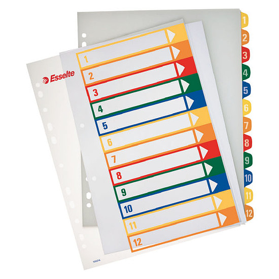 Esselte regiszter A4 nyomtatható műanyag Maxi 1-12-ig 100214