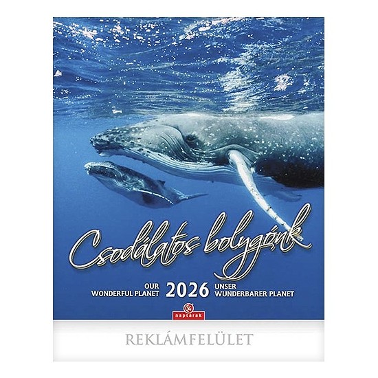 Falinaptár 2026 CSG 300x340mm álló Csodálatos Bolygónk