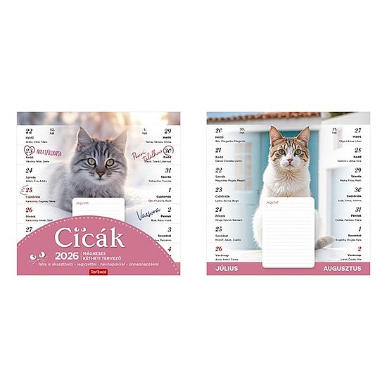 Falinaptár 2026 mágneses TOPTIMER T090 220x220mm Cicák