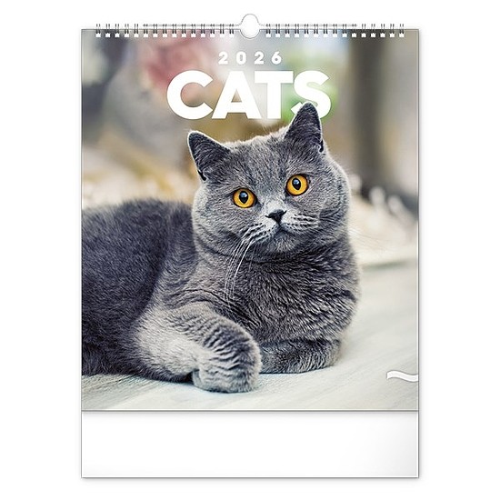 Falinaptár 2026 REALSYSTEM 300x340mm álló Cats
