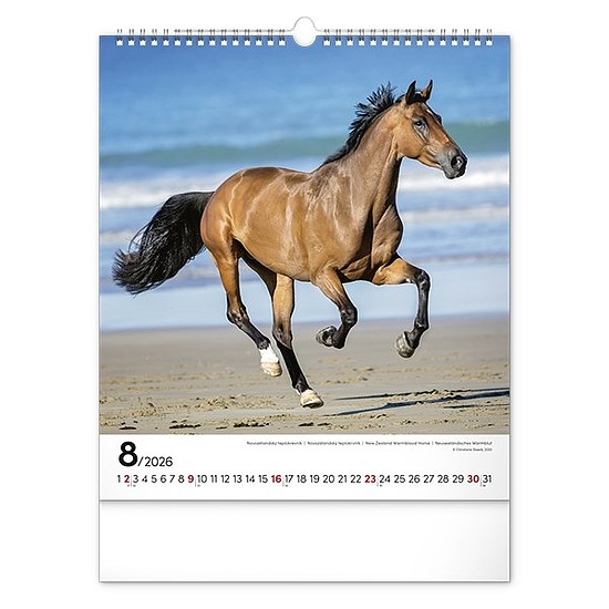 Falinaptár 2026 REALSYSTEM 300x340mm álló Horses