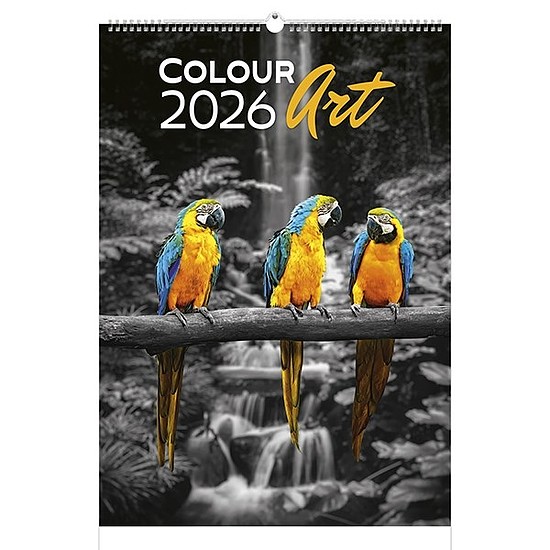 Falinaptár 2026 TOPTIMER T092 315x450mm álló Colour Art