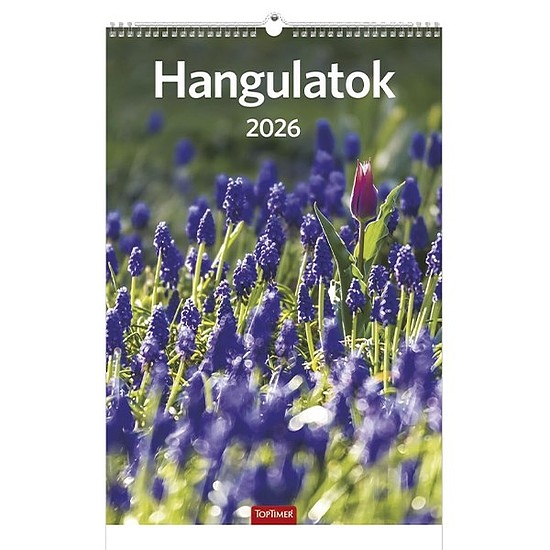 Falinaptár 2026 TOPTIMER T094 220x330mm álló Hangulatok