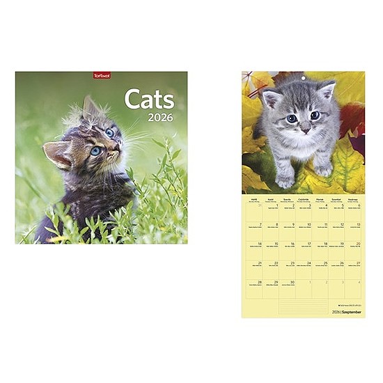 Falinaptár 2026 TOPTIMER T098 290x580mm álló Cats