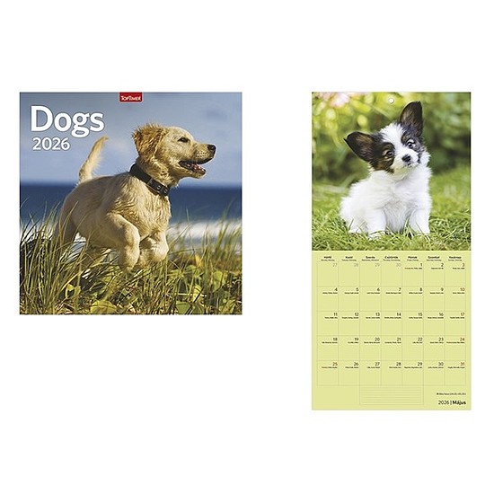Falinaptár 2026 TOPTIMER T098 290x580mm álló Dogs