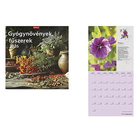 Falinaptár 2026 TOPTIMER T098 290x580mm álló Gyógynövények-fűszerek