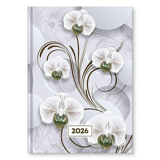 Határidőnapló 2026 VECTRALINE Mystic White princess A/5 napi fehér lapos