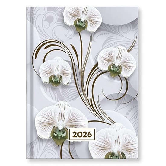 Határidőnapló 2026 VECTRALINE Mystic White princess B/6 napi fehér lapos