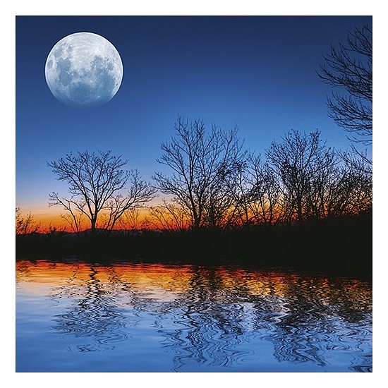 Lemeznaptár 2026 REALSYSTEM 300x300mm The moon