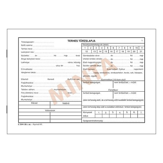 Terhes törzslap, 8 oldal+borító A5 fekvő C.3341-38